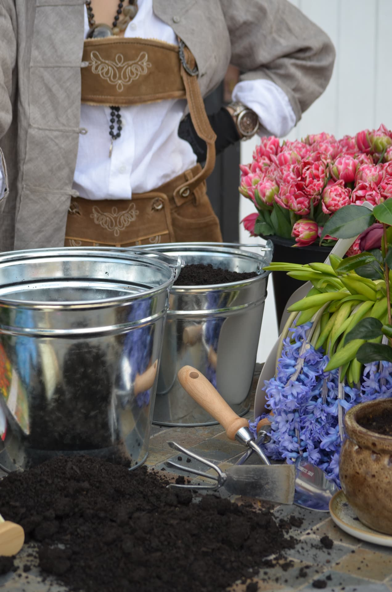 Gardening with fresh tulips, hyacinths, planting tools and metal buckets